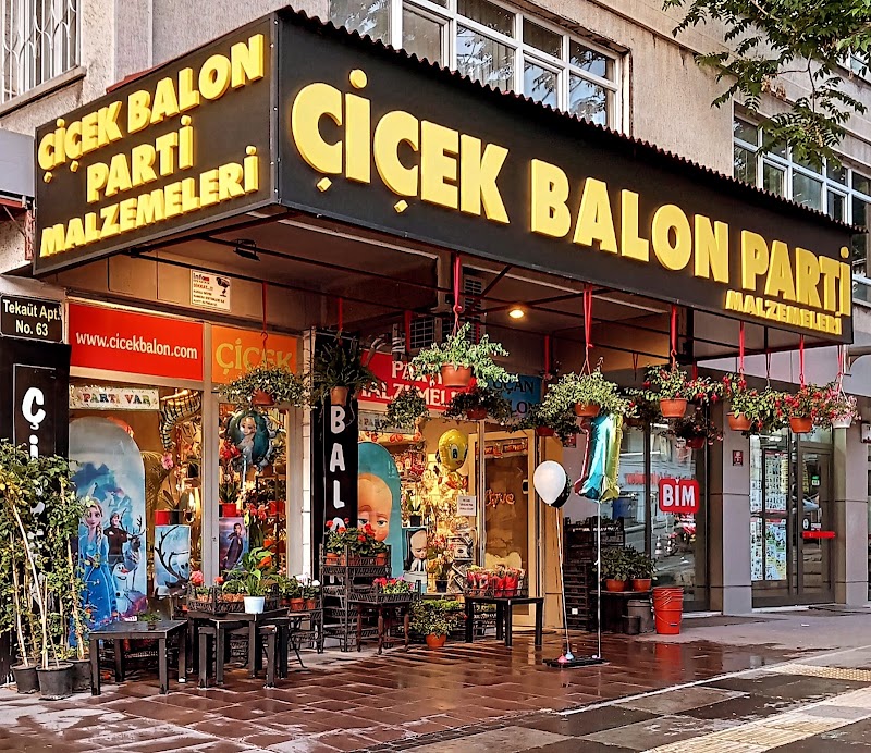 Ankara Çiçek Balon Parti Malzemeleri