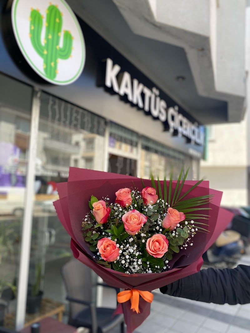 Bolu Çiçekçi Kaktüs Çiçekçilik