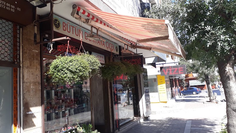 Bursa Çiçek Mağazası