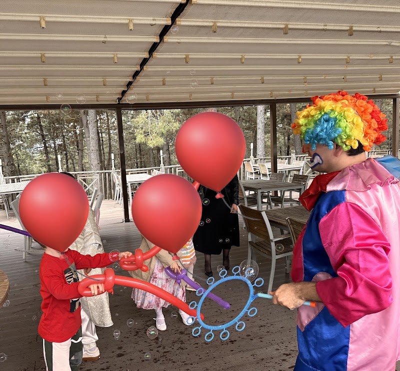 KOZALAK ORGANİZASYON ( PALYAÇO , ANİMATÖR , MASKOT , BUBBLE SHOW , SURVİVOR , NOEL BABA , PİNYATA , OYUN ABİSİ )