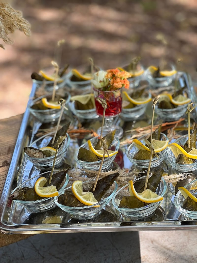 Setup Catering - Organizasyon Düğün Nişan Kurumsal Catering